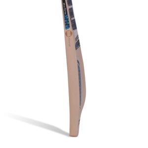Player Reserve - Nicholas Pooran English Willow Cricket Bat