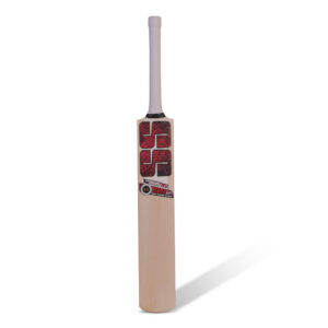 Vaibhav Sooryavnshi Player English Willow Cricket Bat