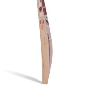Player Reserve - Ashutosh English Willow Cricket Bat