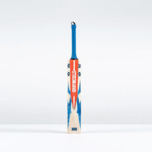 Havoc 1.0 Pro Edition NEOCORE Adult Player Cricket Bat