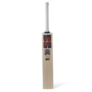 Devil Red Kashmir Willow Cricket Bat