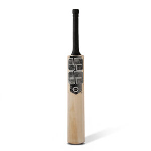 Premium Silver Kashmir Willow Cricket Bat