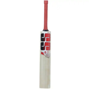 Sky Smasher Kashmir Willow Cricket Bat