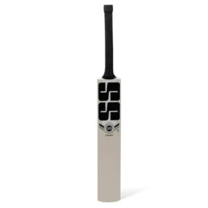 Power Kashmir Willow Cricket Bat