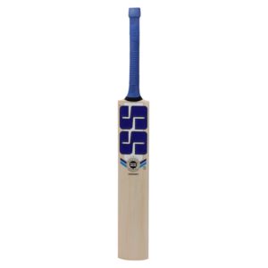 Magnet Kashmir Willow Cricket Bat