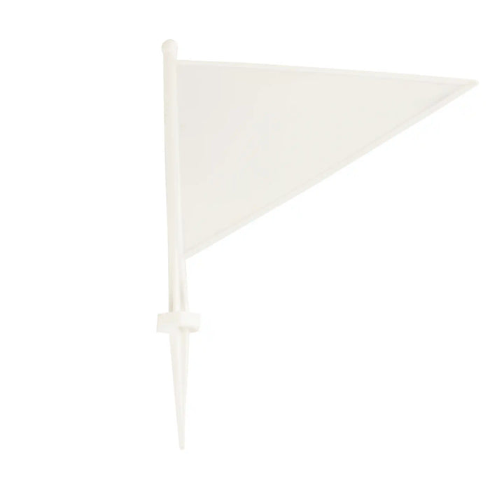 Boundary Flag