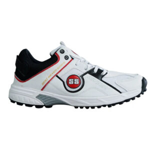 Gutsy Shoes