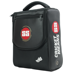 Premium Shoe Bag