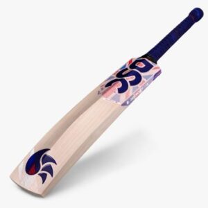 OvalZ English Willow Bat (Made in England)