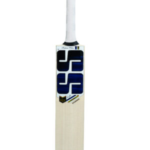 Sky Stunner Kashmir Willow Cricket Bat (Painted)